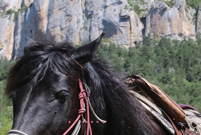 hôtel Die Menglon Drôme Rhône Alpes Hebergement vacances séjour